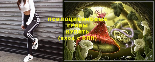 молекула духа Володарск