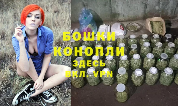 молекула духа Володарск